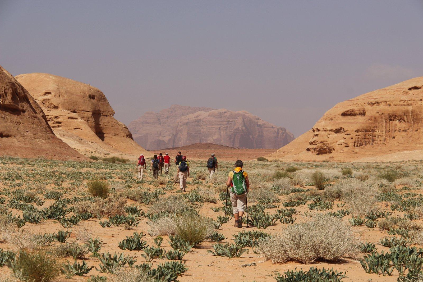 Wadi Rumtrekking 14 Arne Van Wijnsberghe Wadi (220)
